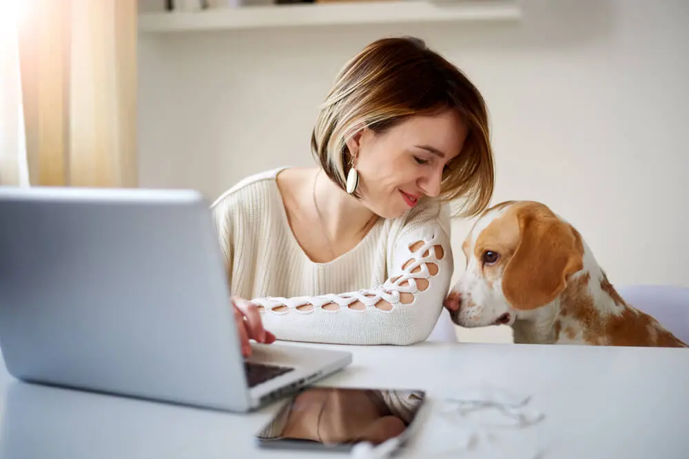 Woman at her comuter with her dog in an article on how to write blogs faster by Melanie Gorman on Crownsvillemedia.com